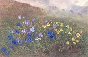 Flores da montanha da mola, 1896