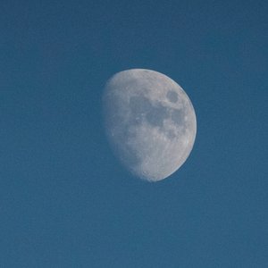 Look At The Moon, 2021 (foto)