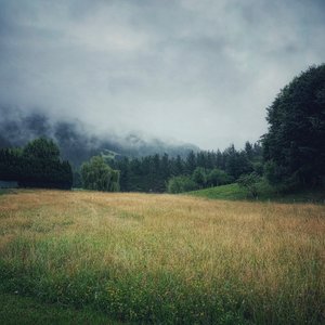 Misty Mountains, 2021 (foto)