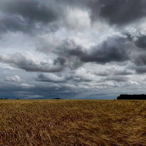 Céu tempestuoso sobre uma colheita no final do verão de 2020 de Katha Wood