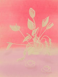 Sonho de Framboesa de Katharina Puritscher