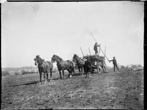 Broomfield, Broomfield And Kingswood, Maidstone, Kent, 06/04/1904 (foto a p/b)