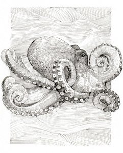 de Katie O'Shea