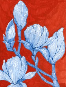 de Katie O'Shea