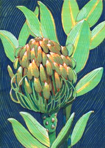  de Katie O'Shea