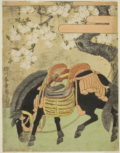 Cavalo preto amarrado sob uma cerejeira em flor de Katsukawa Shunsho