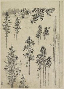 Paisagem com árvores de Katsushika Hokusai (possibly)