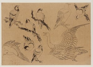 Aves, período Edo, final do século XVIII e início do século XIX. de Katsushika Hokusai