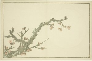 Ameixoeira em flor, de The Picture Book of Realistic Paintings of Hokusai (Hokusai shashin gafu), c.1814 (impressão xilográfica a cores (folha de álbum)) de Katsushika Hokusai