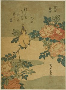Bush Warbler e Rose (Kocho, bara), de uma série sem título de flores e pássaros de Katsushika Hokusai
