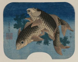 Carpa nadando perto de ervas daninhas de Katsushika Hokusai