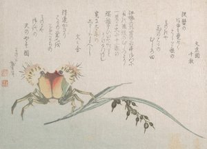 Planta de Caranguejo e Arroz, século XIX. de Katsushika Hokusai