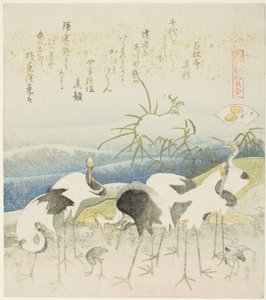 Cranes by the Shore, ilustração para The Leg Shell (Ashigai), da série "A Matching Game with Genroku-period Poem Shells (Genroku kasen kai awase)". de Katsushika Hokusai