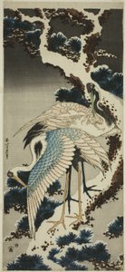 Guindastes em pinheiros cobertos de neve de Katsushika Hokusai