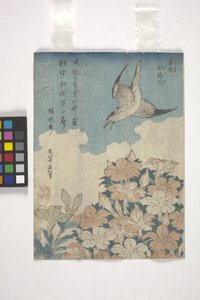 Cuco e Azalea (xilogravura colorida) de Katsushika Hokusai
