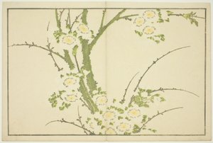 Flores, do livro ilustrado de pinturas realistas de Hokusai (Hokusai shashin gafu) de Katsushika Hokusai