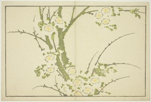 Flores, de The Picture Book of Realistic Paintings of Hokusai (Hokusai shashin gafu), c.1814 (xilogravura a cores (folha de álbum)) de Katsushika Hokusai