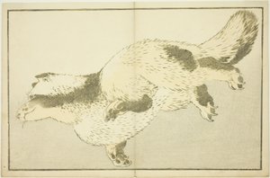 Fox, do livro ilustrado de pinturas realistas de Hokusai (Hokusai shashin gafu) de Katsushika Hokusai