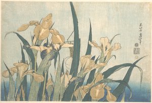 Gafanhoto e Íris de Katsushika Hokusai