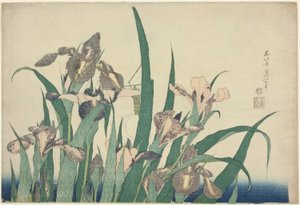 Iris e Grasshopper, de uma série sem título de grandes flores de Katsushika Hokusai