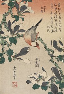 Java Sparrow e Magnolia, c. 1832 de Katsushika Hokusai