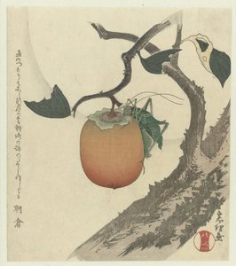Kaki fruta com gafanhoto de Katsushika Hokusai