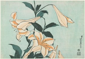 Lírios de Katsushika Hokusai