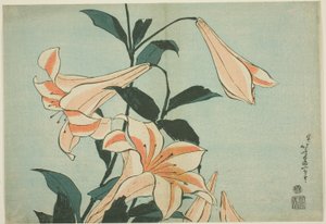 Lírios, de uma série sem título de Flores Grandes de Katsushika Hokusai