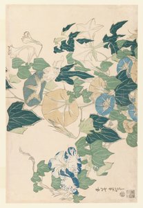 Morning Glories in Flowers e Buds, c.1830 (impressão em xilogravura a cores) de Katsushika Hokusai