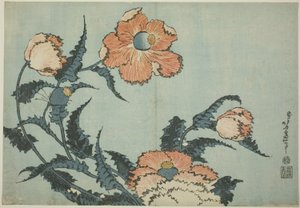 Papoilas, de uma série sem título de flores de Katsushika Hokusai