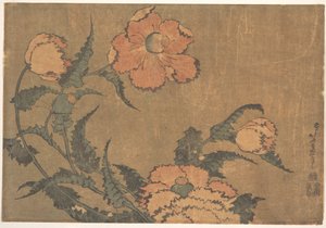 Papoilas ao vento de Katsushika Hokusai