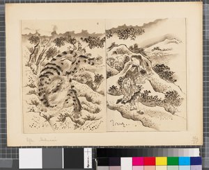 Cenas da guerra entre o Japão e a Coreia, finais do século XVIII e primeira metade do século XIX (tinta e aguada sobre papel) de Katsushika Hokusai