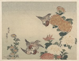 Pardais e crisântemos de Katsushika Hokusai