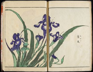 Transmitir o Espírito e Revelar a Forma das Coisas: O Jardim das Imagens de Hokusai, vol. 1 completo de Katsushika Hokusai