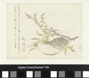 Dois Flatfish e Ameixa de Katsushika Hokusai