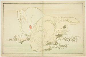 Dois coelhos, do livro ilustrado de pinturas realistas de Hokusai (Hokusai shashin gafu) de Katsushika Hokusai