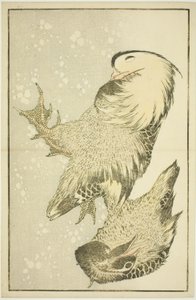Duas Aves Aquáticas, do Livro Ilustrado de Pinturas Realistas de Hokusai (Hokusai shashin gafu) de Katsushika Hokusai