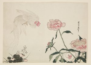 Galos de cauda longa entre as flores (impressão em bloco de madeira a cores) de Katsushika II (fl.1820 50) Taito