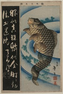 Carpas e algas de Katsushika Taito II