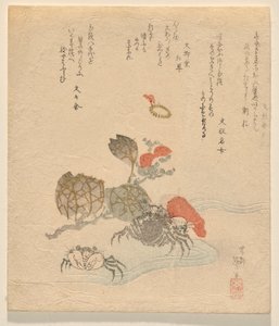 Caranguejos com ramo de rosas chinesas