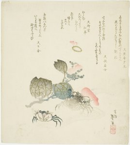 Dois caranguejos por um spray de camélia de Katsushika Taito II
