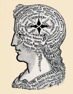 Um gráfico da cabeça e ombros humanos. Século XIX (gravura)