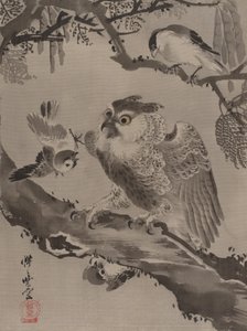 Coruja zombada por pequenos pássaros, ca. 1887