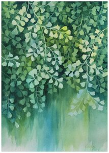  de Kay Shanley