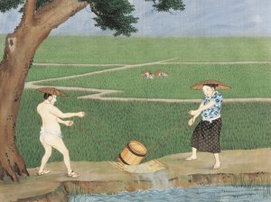 Holanda, Leiden, Trabalho no campo do arroz