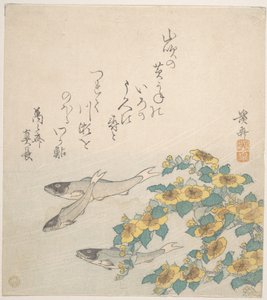 Peixes a nadar com flores amarelas de Keisai Eisen