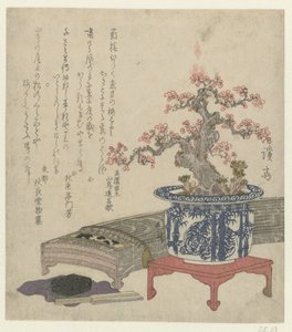 Koto com flor de ameixa na panela de Keisai Eisen