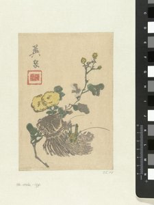 Gafanhoto e flores de Keisai Eisen