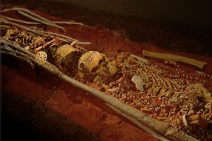 Arqueologia; Hominídeo; Hominídeo; Ev. Humano - Homo sapien Sapiens; Evolução Humana; Gelo A..., 2000 (foto) de Kenneth Garrett