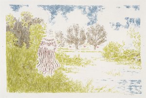 Femme en robe a rayeurs (Mulher em um vestido listrado), 1899-1900 (litografia em cores) de Ker Xavier Roussel